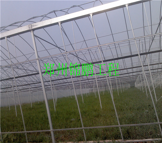 南陽溫室現(xiàn)場(chǎng)